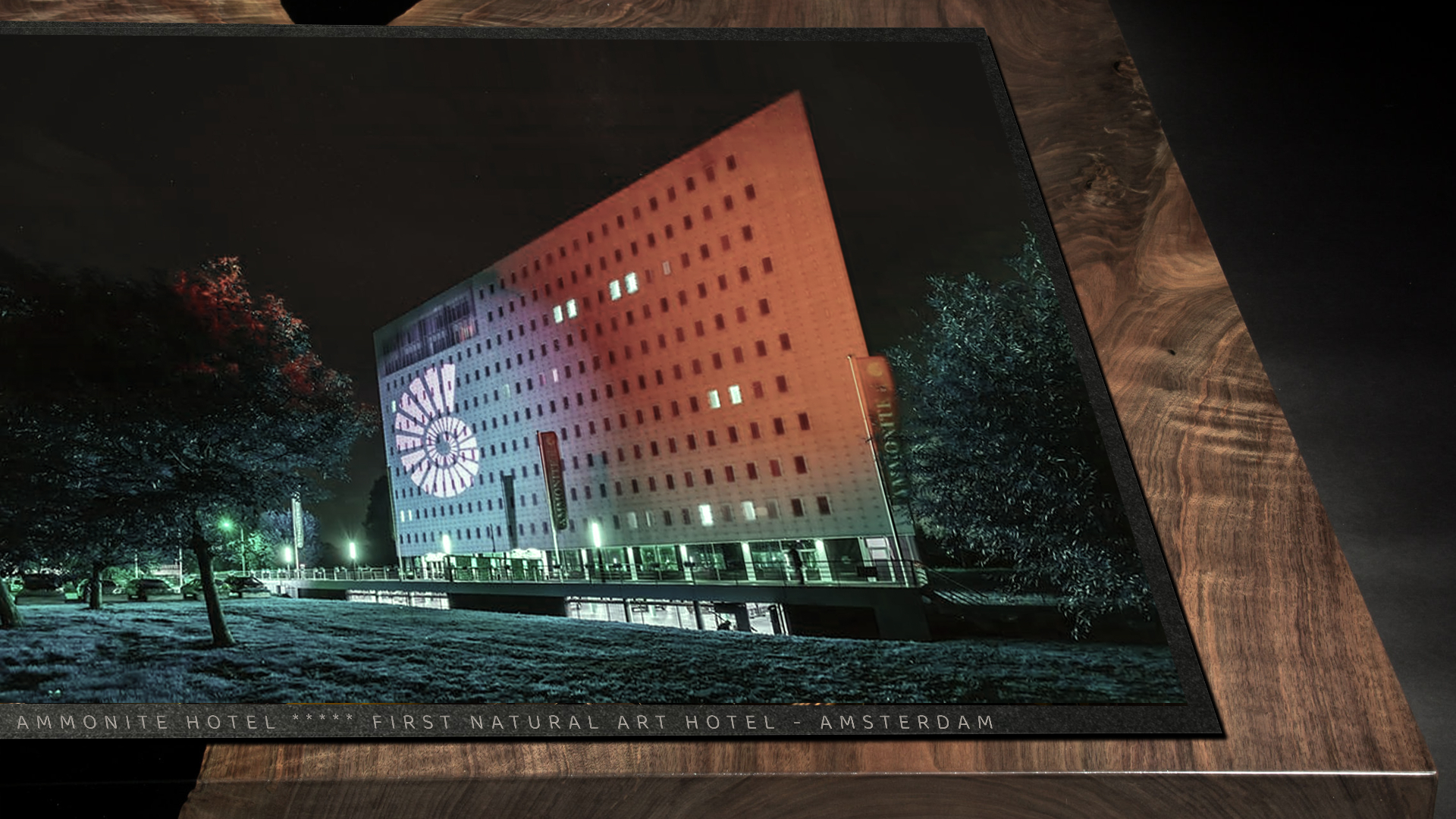 Ammonite Hotel — Natural Art Hotel Amsterdam printed showcase on walnut table